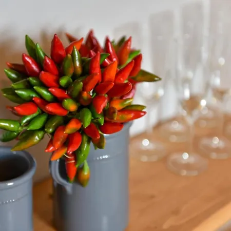 Borgo Aratico Villa Monopoli