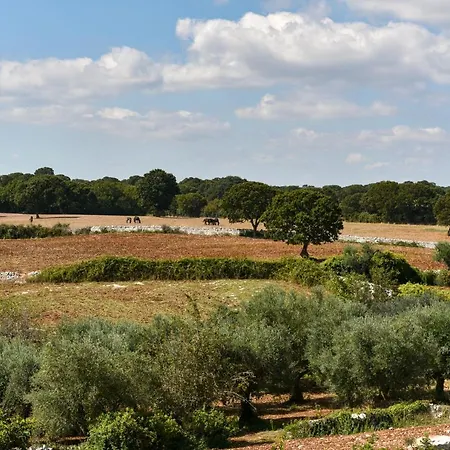 Borgo Aratico *