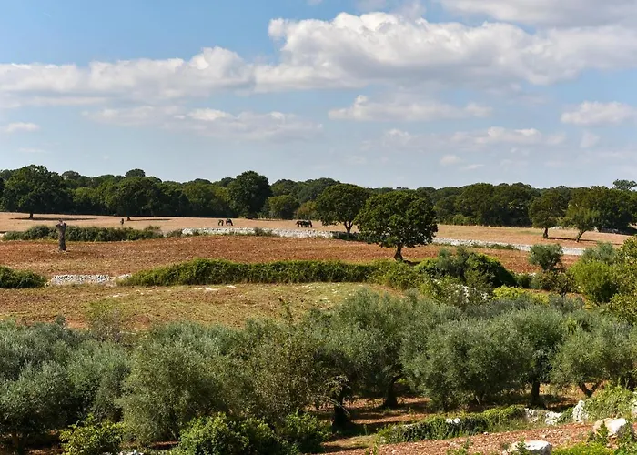 Borgo Aratico *