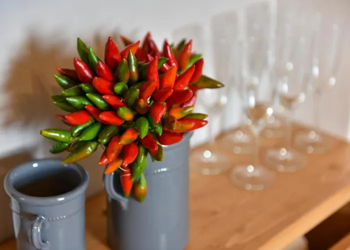 Borgo Aratico Willa Monopoli